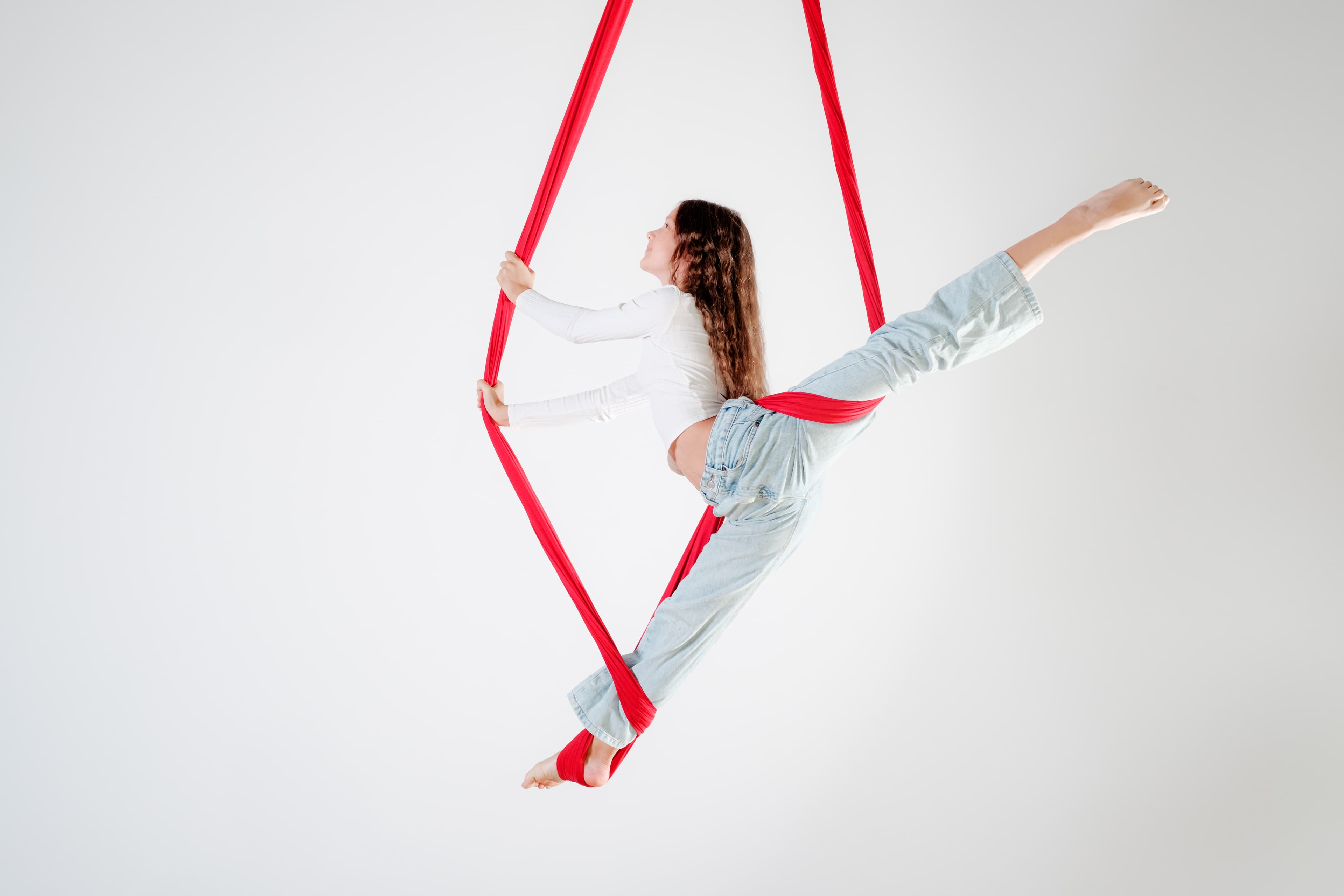aerialHammock